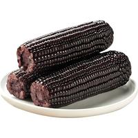 京鲜生 东北黑糯玉米220g*10棒 新鲜甜糯玉米棒真空包装粘玉米 源头直发