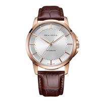 SEA-GULL 海鸥 国民系列 40毫米自动上链腕表 519.12.6066 银盘金壳