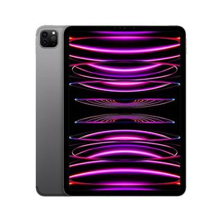 Apple 苹果 iPad Pro 2022款 11英寸 平板电脑（2388*1668、M2、1TB、5G版、深空灰色、MNYV3CH/A）
