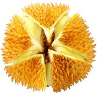 京东超市 京鲜生 自然树熟 泰国金枕头榴莲水果 4.0-5.0斤 液氮冷冻锁鲜