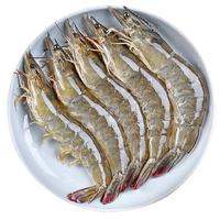 弹指鲜生虾盐冻大虾基围虾冷冻厄瓜多尔白虾毛重4斤净虾3.3斤 17-19cm 4斤(净重) 3040大虾