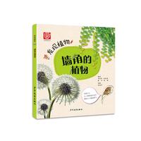 《发现植物·墙角的植物》
