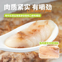 三都港非养殖南美黄鱼鲞净重235-250g*3条海捕三去免调味海鲜生鲜鱼食材 南美黄鱼鲞净重235-250g*3条