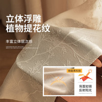 家菲阳台隔热防晒镜面纱透光不透人纱帘客厅飘窗窗纱窗帘高级感奶油色 镜面有钱花-奶茶色 宽1.5米*高2米-挂钩款1片