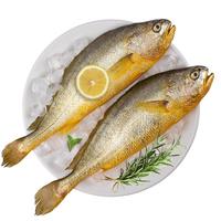 京觅 三去黄花鱼 700g