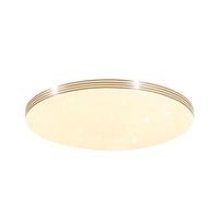 DongDong 東東家居 满天星系列 D0436-X/24W/TR LED圆卧灯