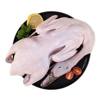 WENS/温氏 农养麻鸭整鸭 鸭肉 3.2斤