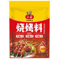 六婆 三合一  辣椒面烧烤料腌肉撒料蘸料孜然味烧烤调料 125g烧烤料2袋（1袋搞定）