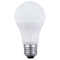 FSL LED灯泡（球形）E27 10w 黄光 /个