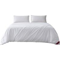 KING SILK 钱皇 妙笔生花 全棉蚕丝子母被 白色 220*240cm 1+3斤