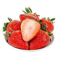 绿相忆四川大凉山红颜草莓 新鲜水果红颜99奶油草莓生鲜现摘 带箱2.5斤中果【净重2斤】尝鲜装