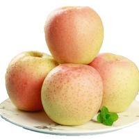 京鲜生 山东雀斑美人苹果礼盒 净果4斤 单果205-245g 新鲜水果 源头直发 雀斑美人丨礼盒9粒装甜脆多汁