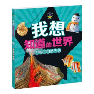 《小小万事通·我想知道的世界：神秘的自然天地》