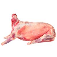 塔塔牧场宁夏盐滩羊肉散养20斤全羊羔羊整只新鲜现杀生鲜年货礼盒源头直发 按单现杀20斤滩羊【整只】