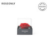 ROSEONLY 小钟情礼盒 永生花 方形 小号 红色