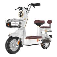 雅迪 Yadea摩登复古长续航48V24Ah锂电新国标电动自行车薄荷绿