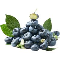 Mr.Seafood 京鲜生 云南蓝莓 6盒装 果径18mm+