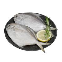 鲜京采 冷冻舟山鲜捕大号银鲳鱼1.5kg 10-12条/kg  源头直发