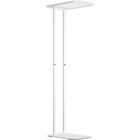 Paulmann P德国柏曼骑士0+护眼大路灯 LED灯全光谱落地式台灯儿童卧室书房