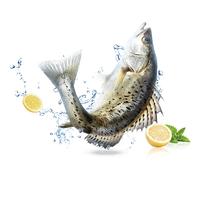 鲜京采冰鲜白蕉海鲈鱼2条装(共2.4斤) 地标产品 国产 生鲜年货 源头直发