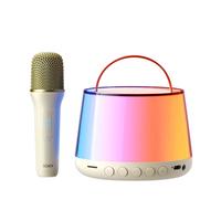 索爱（soaiy）SK13唱歌k歌麦克风音响一体式无线话筒家庭ktv套装自带声卡蓝牙电视音箱