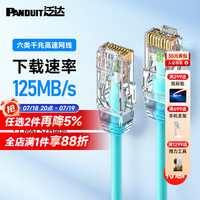 泛达 PANDUIT 六类细网线CAT6类千兆跳线POE监控办公家用水晶头宽带成品网线 冰湖蓝 25米