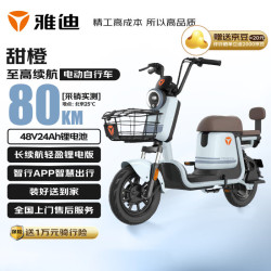 雅迪 甜橙 48v24a星恒锂电 积木蓝