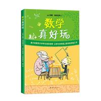 《数学真好玩》