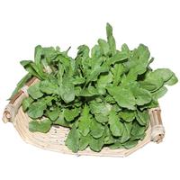 北蔬 荠菜种子农家大叶四季播种野菜蔬菜种籽 农家荠菜种子10g约5万粒