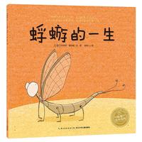 《蜉蝣的一生》