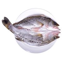 GUOLIAN 国联 龙霸 酒香海鲈鱼 400g