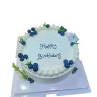 知印蛋糕同城配祝寿款动物淡奶油新鲜烘焙全国广东深圳 缤纷水果淋面款 16英寸（适合16-20人）