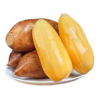 绿相忆云南雪莲果 新鲜当季低糖水果现挖生鲜黄心大果整箱现发 天山雪莲净重 5斤 【回购装】