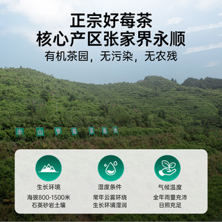 永顺莓茶张家界特级野生芽尖霉茶湖南特产美丽藤茶功效店