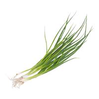 北蔬四季小葱小香葱种子家庭种植蔬菜种籽 北蔬四季小香葱种子2000粒