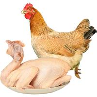 WENS 温氏 供港三黄鸡 1kg