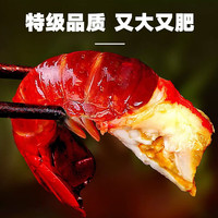 渔吻 小龙虾尾