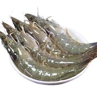 往牧虾 厄瓜多尔白虾 盐冻大虾 生鲜 虾类 冷冻基围虾 虾生鲜 毛重4斤 2030规格18-21厘米*2盒