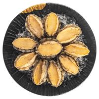 江船长冷冻无壳鲍鱼肉 净重150g(10粒)活鲍加工 火锅烧烤食材海鲜 生鲜 无壳鲍鱼肉 150g(10粒)