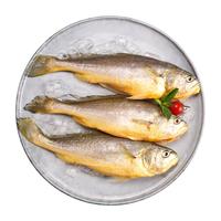 DIAOYUJI 钓鱼记 三去宁德黄花鱼500g 3-4条 冷冻真空锁鲜 生鲜 鱼类 海鲜水产