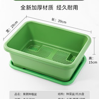 美耐佳 阳台种菜盆 YTZCP-005 加厚长方形塑料盆 无规格 绿色