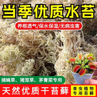 美耐佳 捕蝇草专用干水苔 25克 盆栽
