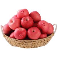 佳农 烟台红富士 苹果 5kg