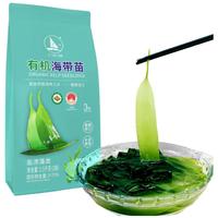 亿天源 有机海带苗1.5kg 头茬脆嫩爽滑 嫩芽采摘 爆炒凉拌火锅