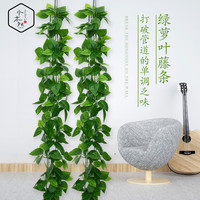水木然 仿真藤条精灵绿萝藤蔓塑料管道吊顶装饰仿真植物绿叶5条装