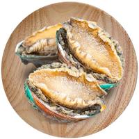 江船长冷冻大鲍鱼 带壳去内脏去黑膜 净重230g 6粒装 火锅食材海鲜 生鲜