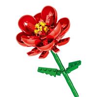 ZHEGAO 哲高 QL2360 叶上黄金