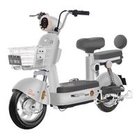 宝岛电动自行车元宇宙48V20Ah超威铅酸电池续航70km蓝牙智能解锁艺术灰