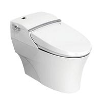 American Standard 美标 CEAS5312 智能坐便器 305mm坑距 银色