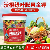 海法•瑞慕丰 Haifa 海法 瑞慕丰 沃根绿叶膨果金钾氨基酸水溶性肥料 20kg*1桶